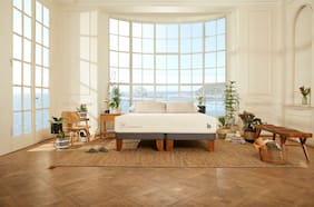 ¿Un colchón vegano y certificado por PETA? Existe, se llama COCOPEDIC y es chileno