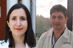 Crispi vs. Medina: el contrapunto de dos dirigentes del Colegio Médico por la propuesta constitucional en salud