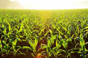 Agroindustria chilena acelera el paso hacia una economía circular