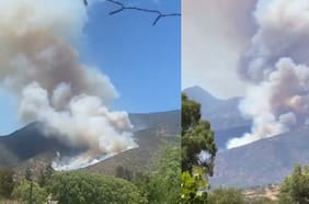 Combaten incendio forestal en Culiprán, Melipilla