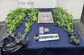 300 estampillas de LSD escondidas en un libro infantil: dejan en prisión preventiva a sujeto que recibió encomienda con droga desde México