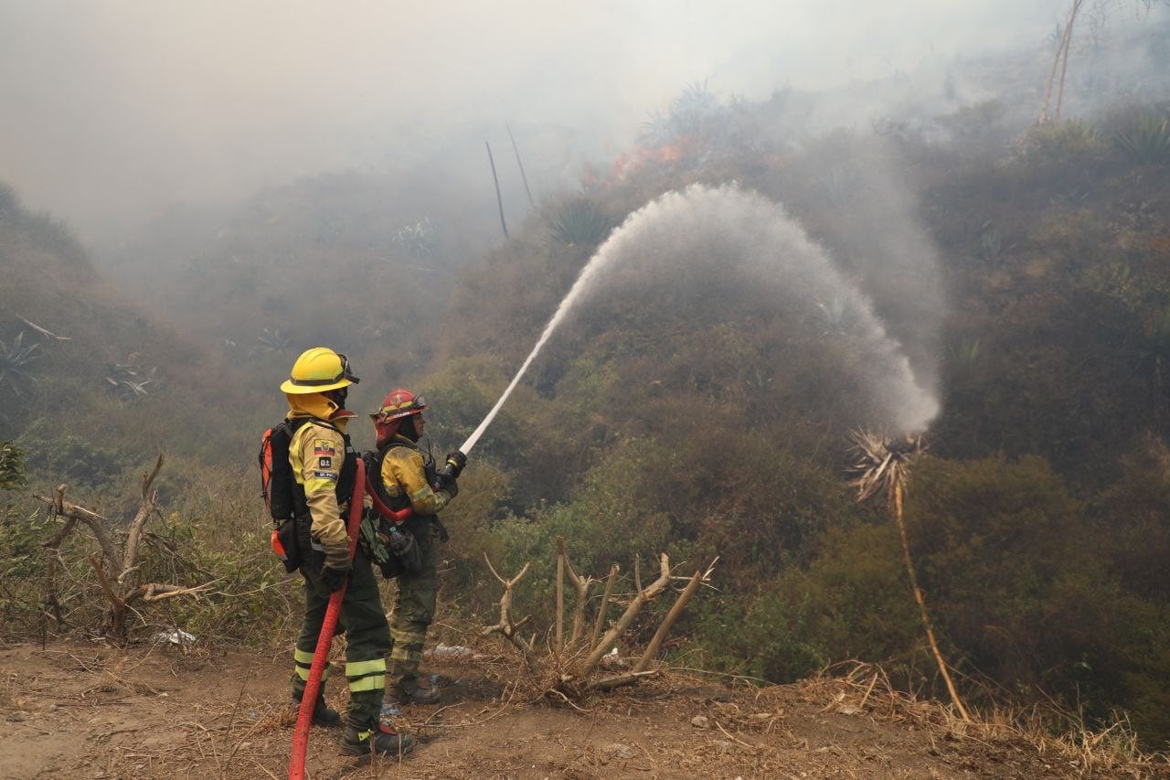 Imagen obtenida de @MunicipioQuito en X