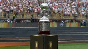 Se retrasa el inicio de la final de la Copa Libertadores entre Palmeiras y Flamengo