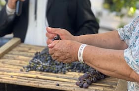 Guía con todas las fiestas de la vendimia en Chile este 2025