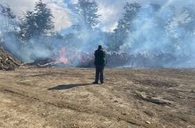 Incendio en Tierra del Fuego ha consumido 250 hectáreas