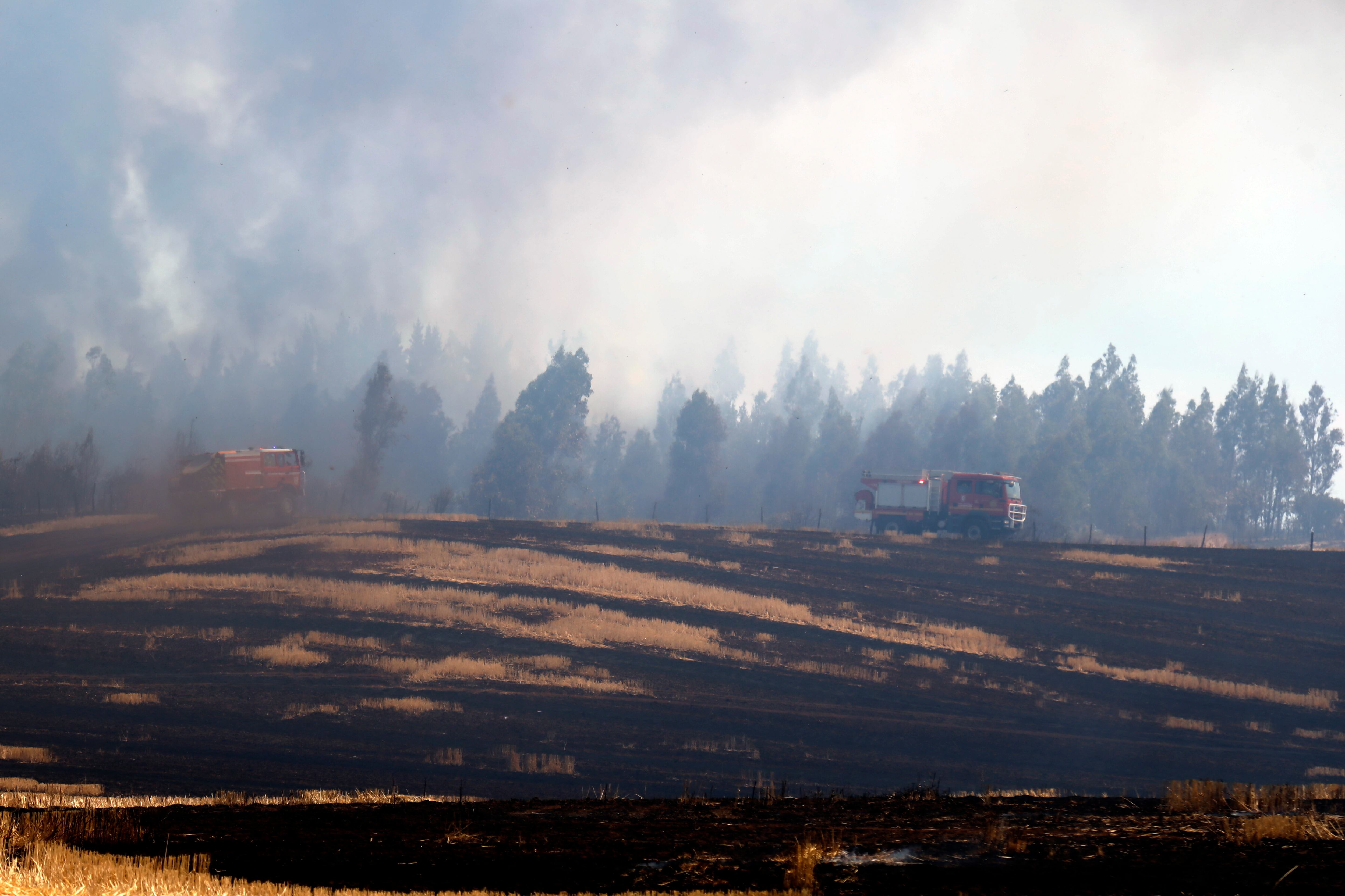 Sebastián Cepeda: “Si me preguntan a mí dónde poner los pesos en Chile, sería en adaptación”