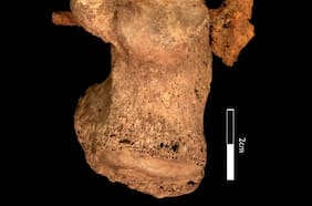 Hallan importante evidencia de la crucifixión romana en Reino Unido