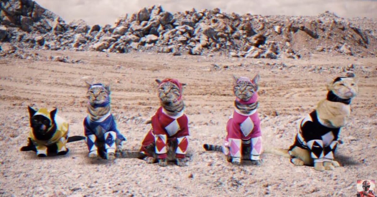 Mewing Power Rangers Meower Rangers: La parodia de Power Rangers que utiliza gatos en vez de ...