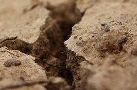 Una sequía sin precedentes en 1.000 años; una dramática baja en las lluvias y cambios en las trayectorias de las tormentas: lo que dice el informe de cambio climático de la ONU sobre Chile