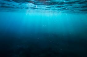 El misterioso hallazgo en el fondo del océano que desconcertó a los científicos