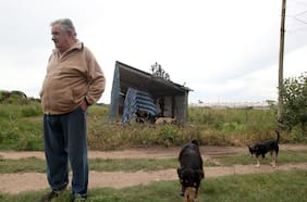 Pepe Mujica en la voz de sus biógrafos