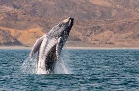 7 playas que hay que conocer en Perú