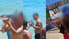 Alcalde de El Quisco anuncia acciones ante la fiscalía contra veraneantes que sacaron tiburón del mar para sacarse selfies