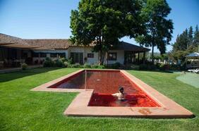 El acogedor Hotel BCW en Casablanca se luce con piscina y desayuno entre parras