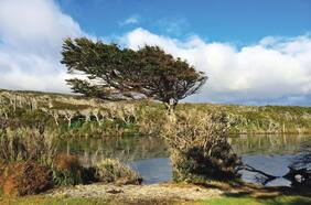 Las Mujeres del Beagle