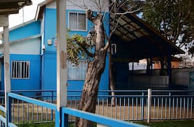 La amarga mañana de un jardín infantil clandestino