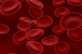 Qué es la leucemia aguda y cuál es su tasa de supervivencia