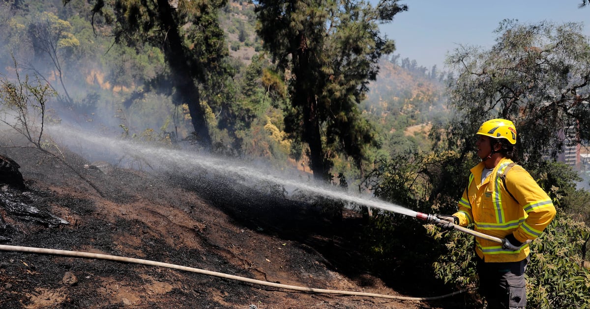 Incendios forestales en Chile: alerta roja en cuatro comunas y el desafío de la prevención integral