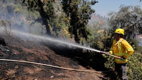 Alerta roja en Melipilla por incendio forestal: Senapred pide evacuar sector Culiprán