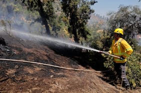 Senapred declaró alerta roja en Rapa Nui por incendio forestal cercano a sectores poblados
