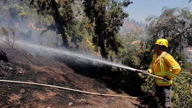 Declaran alerta roja en Melipilla por incendio forestal: Senapred reportó dos viviendas afectadas