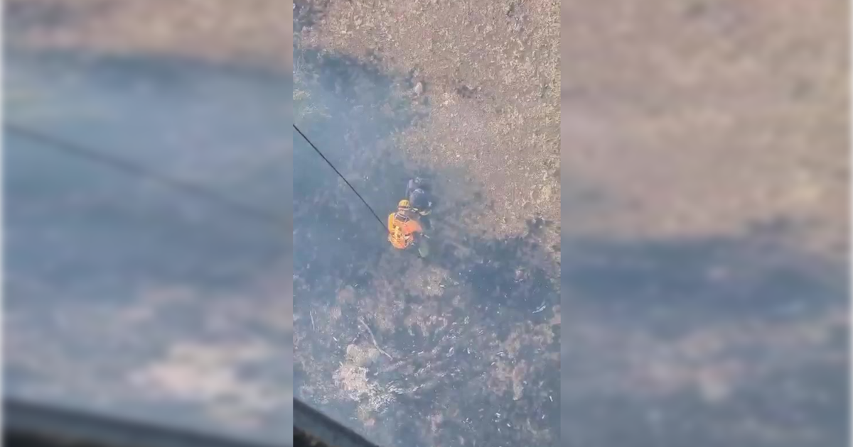 Rescatan a joven atrapada en incendio forestal en Chile