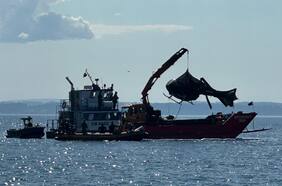A un año de la muerte del expresidente Sebastián Piñera en Lago Ranco: ¿En qué se encuentra la investigación?