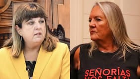 Marisol Rojas y Silvana Donoso: las ministras que asumieron como presidentas de las cortes de Santiago y Valparaíso