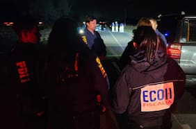 Encuentran golpeado a exconvencional Rodrigo Rojas Vade a un costado de la Ruta 78: está en riesgo vital