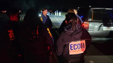 Encuentran golpeado a exconvencional Rodrigo Rojas Vade a un costado de la Ruta 78: está en riesgo vital