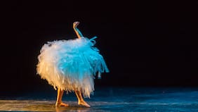 Ahora puedes disfrutar de la cartelera de CA660 con hasta un 40% de descuento