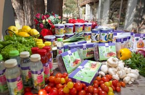 Cómo equilibrar una alimentación vegetariana o vegana: sigue los consejos de Chef