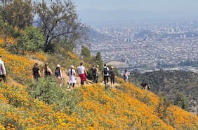 El habitante de Santiago y su relación con los cerros