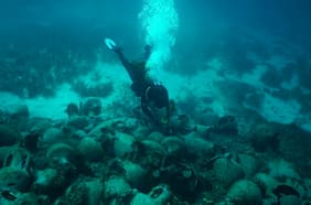 Fatal expedición en Maldivas: cinco turistas italianos mueren y operativo de rescate deja otra víctima