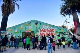 10 panoramas gratis para hacer en familia durante las vacaciones de invierno