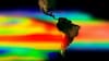 ¿El más grande del siglo?: Cómo se vivirá realmente el fenómeno de El Niño en Chile