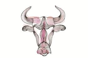 Horóscopo para Tauro 2017