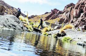 Bolivia pide “claridad” a la CIJ en fallo sobre aguas del río Silala con Chile