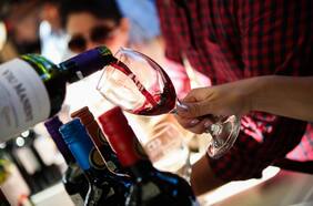 Por qué deberías ir a la Fiesta de la Vendimia de Colchagua 2025