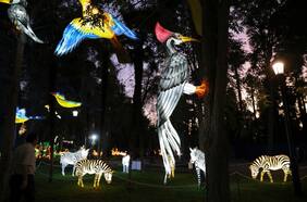 Fesiluz Las Condes se extiende y el Parque Santa Rosa de Apoquindo sigue iluminado