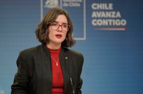 Vallejo y expectativa de embajador Faurie por posible cita de Boric y Milei: “Esas voluntades se expresan por los conductos formales”