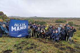 Festival Pala en Mano plantará 10 mil árboles en Ancud para combatir la deforestación insular