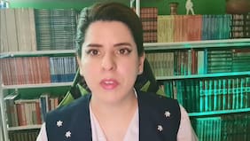 Nuevos videos de ese día: experta argentina acusa “irregularidades” en indagatoria por caso de María Ercira González
