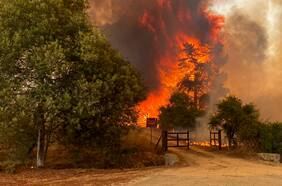 Incendio forestal corta Ruta 68 entre Santiago y Valparaíso