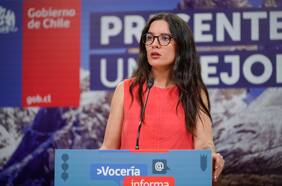 Reforma previsional: Vallejo adelanta que “la idea es retomar las conversaciones para volver a dar la discusión sobre la cotización”