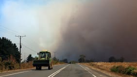 Senapred declara alerta roja en Pudahuel por incendio forestal en sector El Noviciado