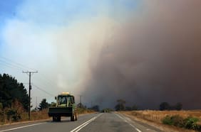 Senapred declara alerta roja en Pudahuel por incendio forestal en sector El Noviciado