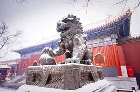 Cuenta regresiva para Beijing 2022: Beijing está listo para los Juegos Olímpicos de Invierno de 2022