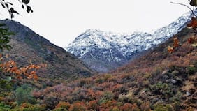 Tres menores de edad son rescatados tras quedar extraviados en la Quebrada de Macul