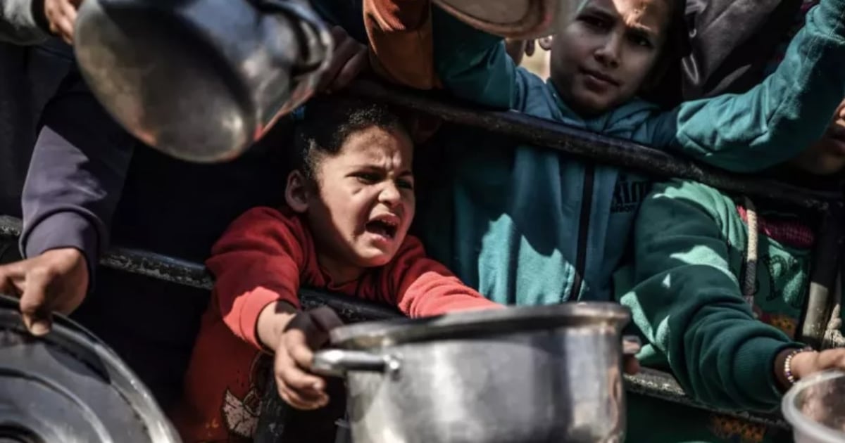 La hambruna en Gaza: un conflicto de vidas y verdades enfrentadas